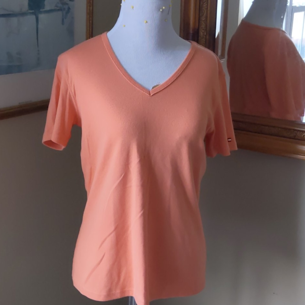 Orange v neck top/ NWT